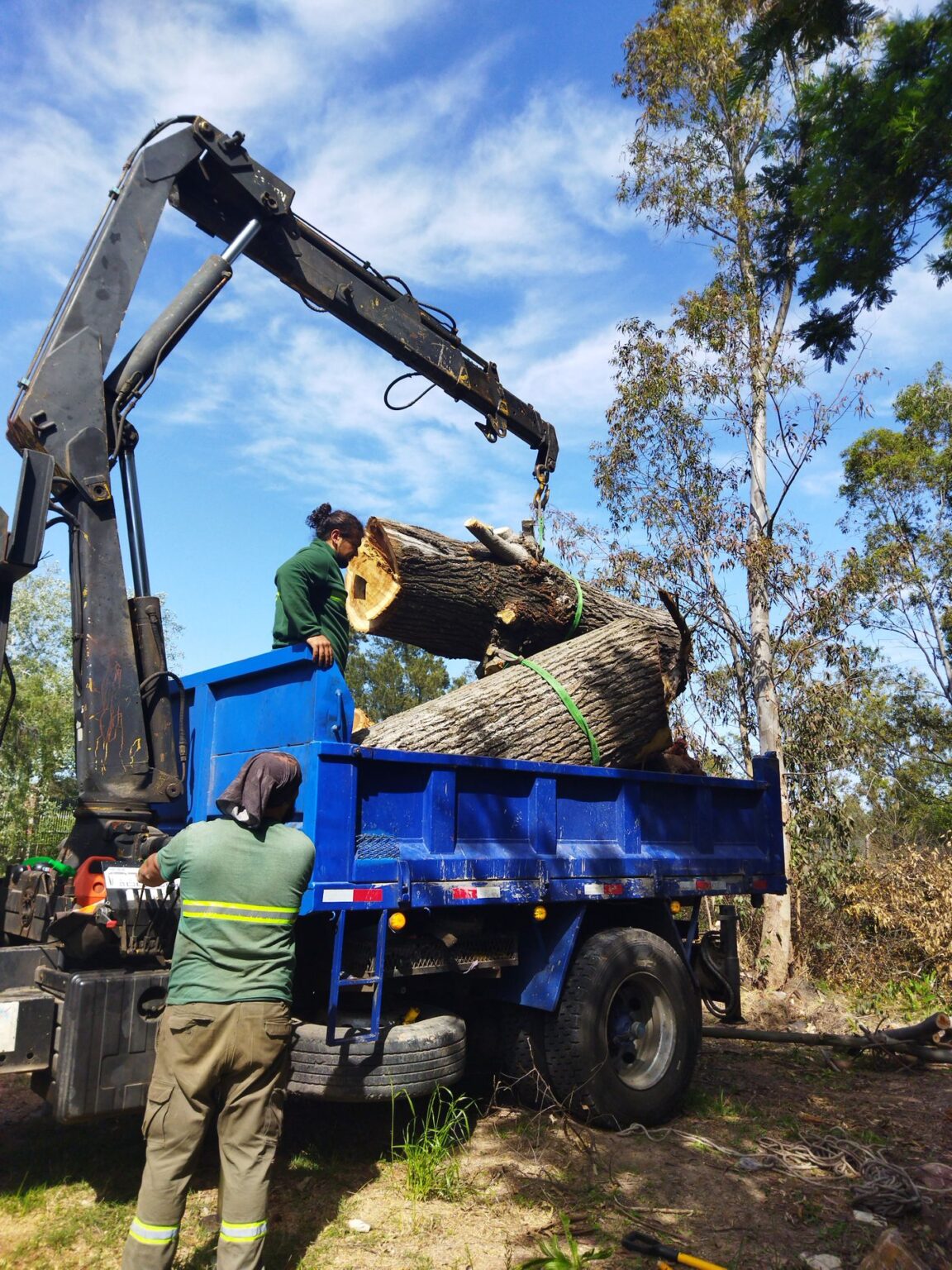 Crane lifting a large log section onto a truck during a tree removal