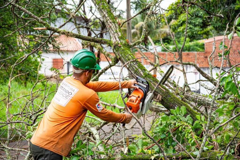 Worker cutting a storm-downed limb with a chainsaw in a back yard